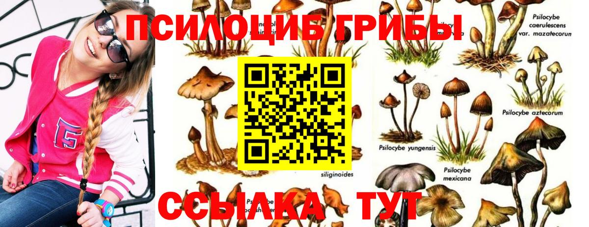 Геленджик  Галлюциногенные грибы мицелий  Вход с VPN  Псилоцибиновые грибы Cubensis 